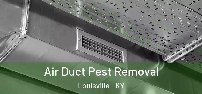 Air Duct Pest Removal Louisville - KY