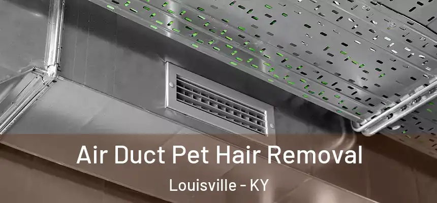 Air Duct Pet Hair Removal Louisville - KY