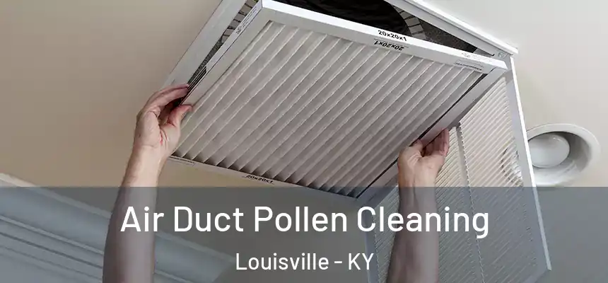 Air Duct Pollen Cleaning Louisville - KY