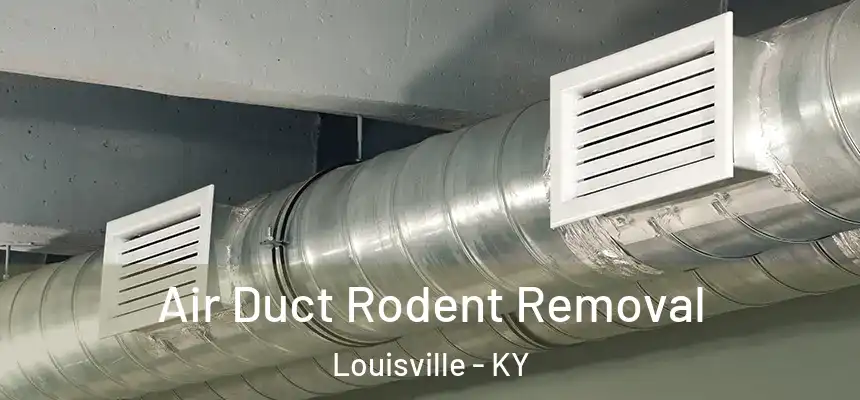 Air Duct Rodent Removal Louisville - KY