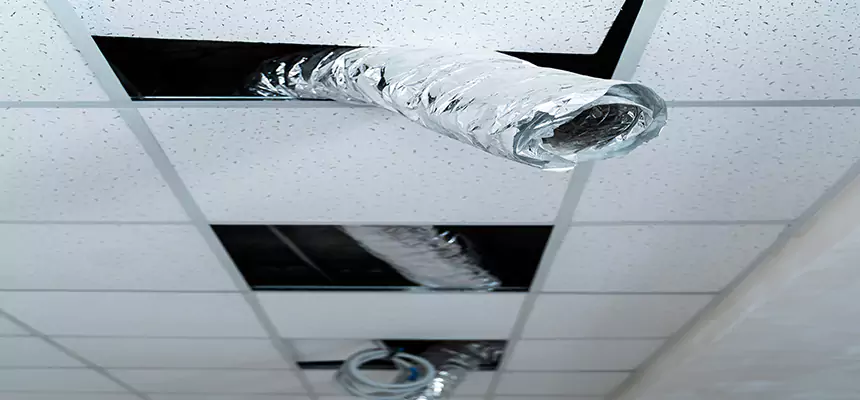 Our Air Duct Pet Hair Removal Services in Louisville, KY