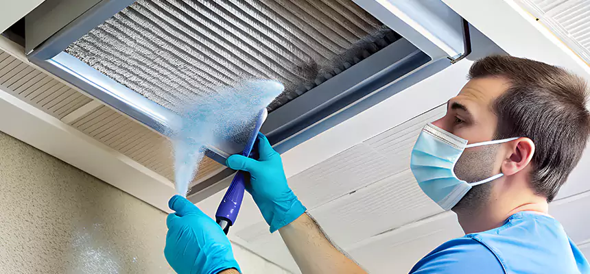 Proactive Dryer Vent & Auxiliary Duct Pollen Cleanup in Louisville, KY