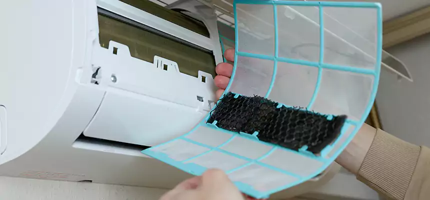 Gentle Ductwork Odor-Control Pet Dander Duct Cleaning in Louisville, KY