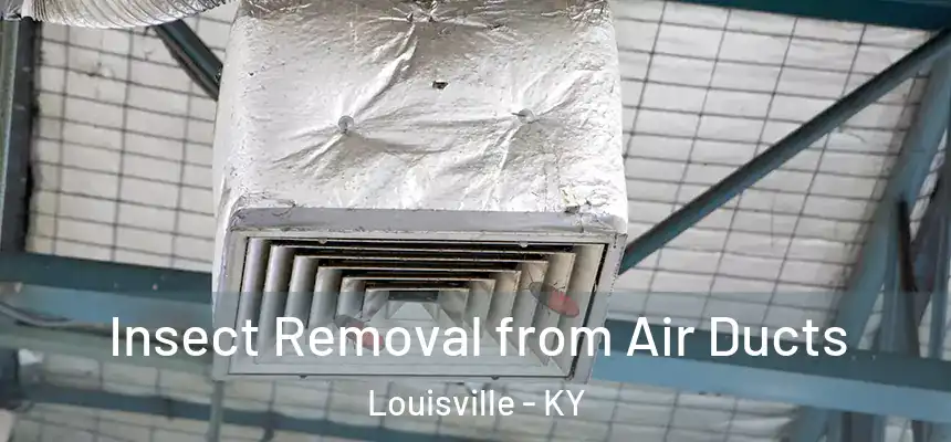 Insect Removal from Air Ducts Louisville - KY