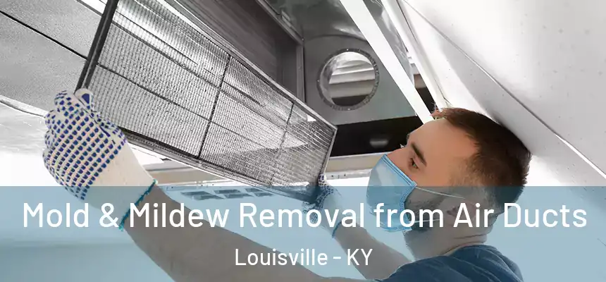 Mold & Mildew Removal from Air Ducts Louisville - KY