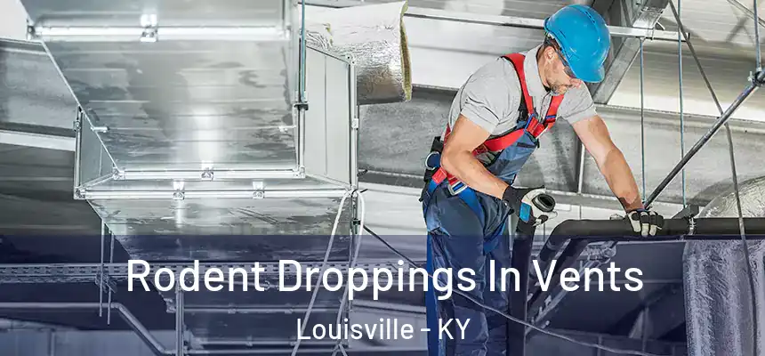 Rodent Droppings In Vents Louisville - KY
