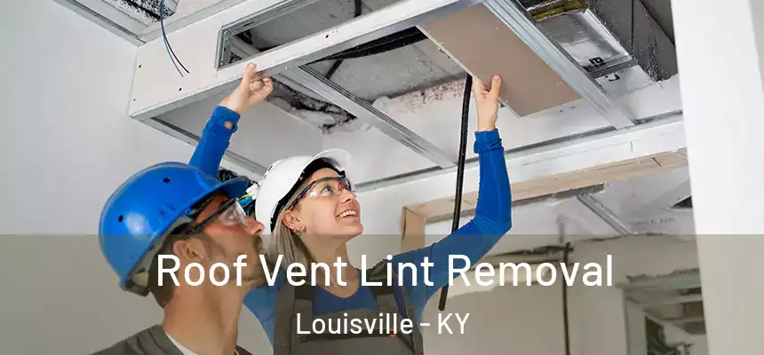 Roof Vent Lint Removal Louisville - KY