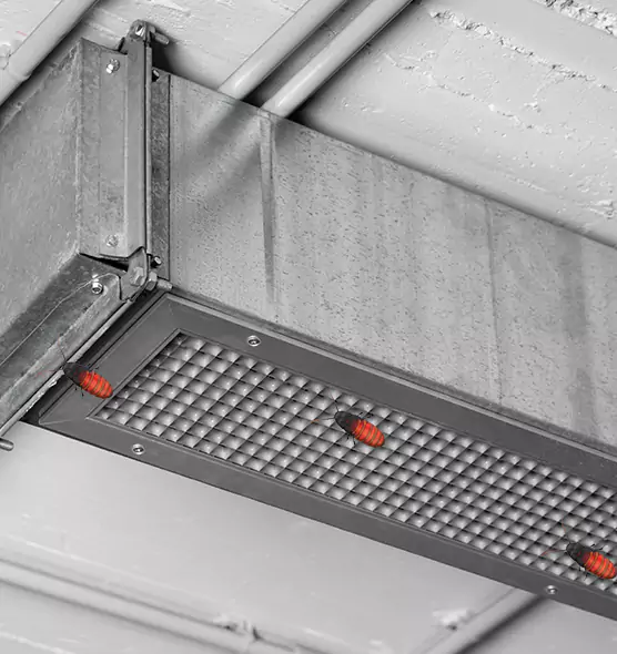 About Air Duct Cockroach Removal in Louisville, KY