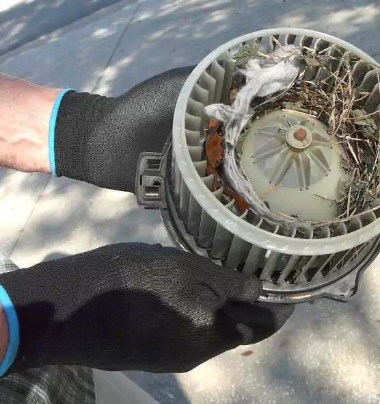 About Air Duct Rat Removal in Louisville, KY