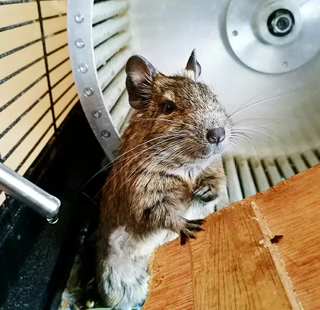 Why Homeowners & Businesses Trust Us Louisville, KY