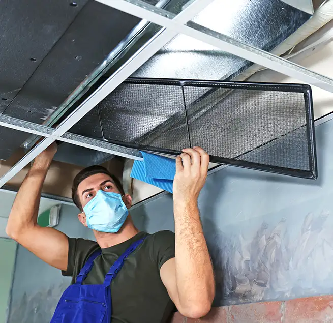 Why Homeowners & Businesses Trust Us in Louisville, KY?