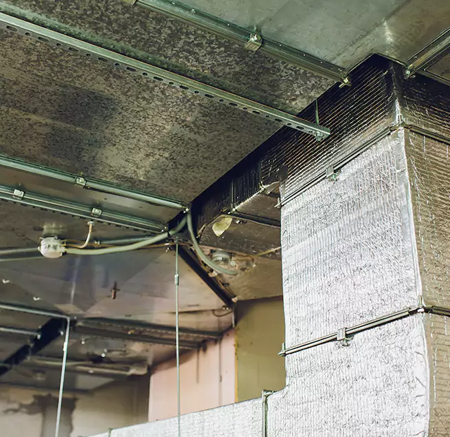 Why Homeowners & Businesses Trust Us in Louisville, KY?